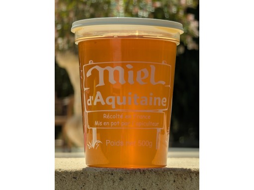 MIEL 2025 500g